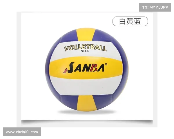 赛事专用训练球有哪些